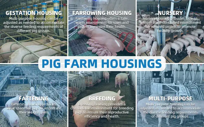 Air Filtration A Key Defense Against African Swine Fever in Southeast Asia Pig Farms