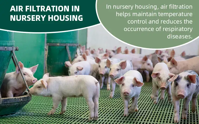 Air Filtration in Pig Farm Nursery Housing – A Comprehensive Guide