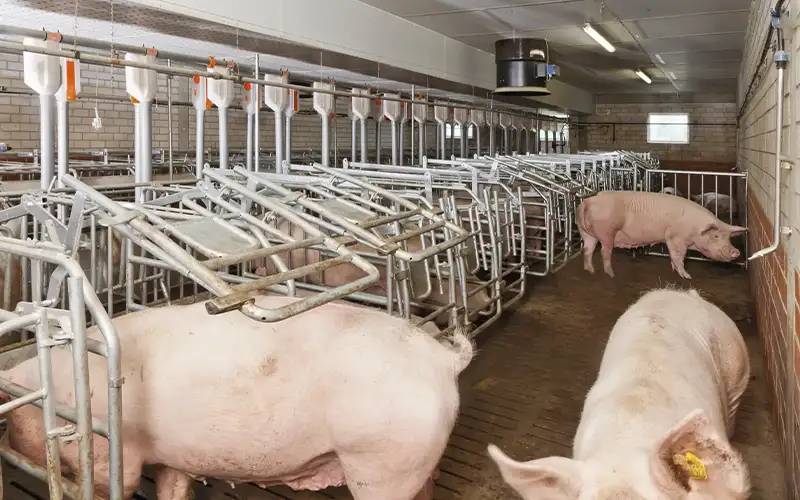 Save Costs with Air Filtration in Multi-Purpose Housing